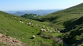 P1430012