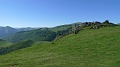 P1430015