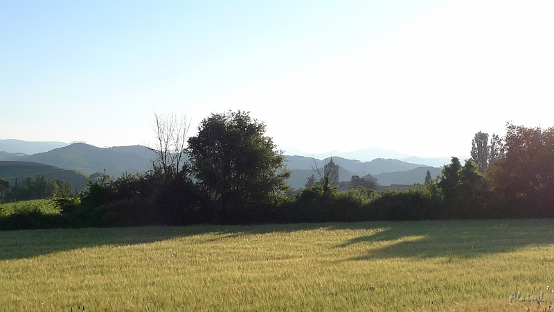 P1470009.JPG