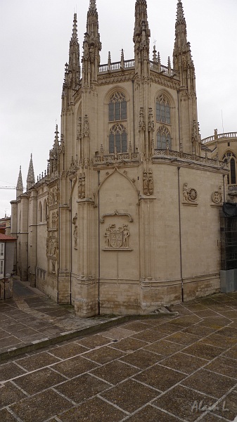 P1530004.JPG
