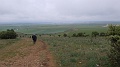 P1530002