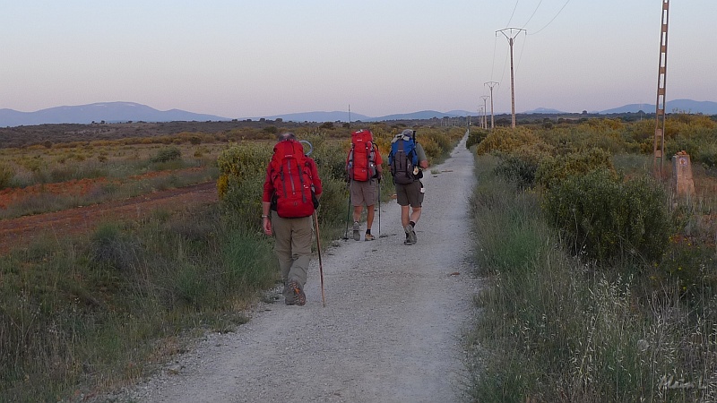 P1630001.JPG - Dès la sortie d'Astorga, la végétation se fait rare et sauvage