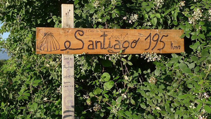 P1650011.JPG